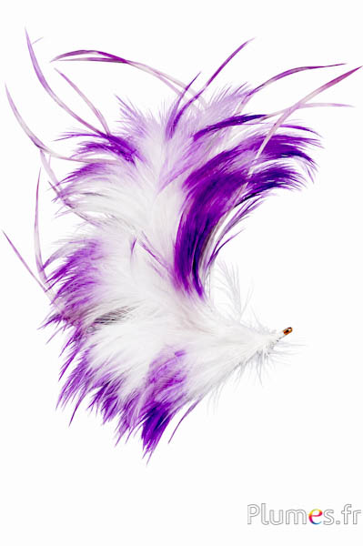 Pennacchio gallo - altezza 22 cm - lilla-bianco